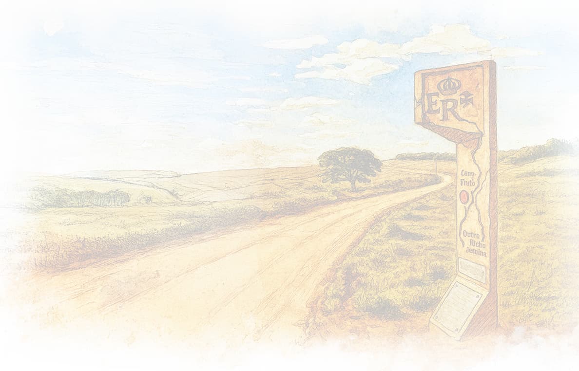 Estrada Real background